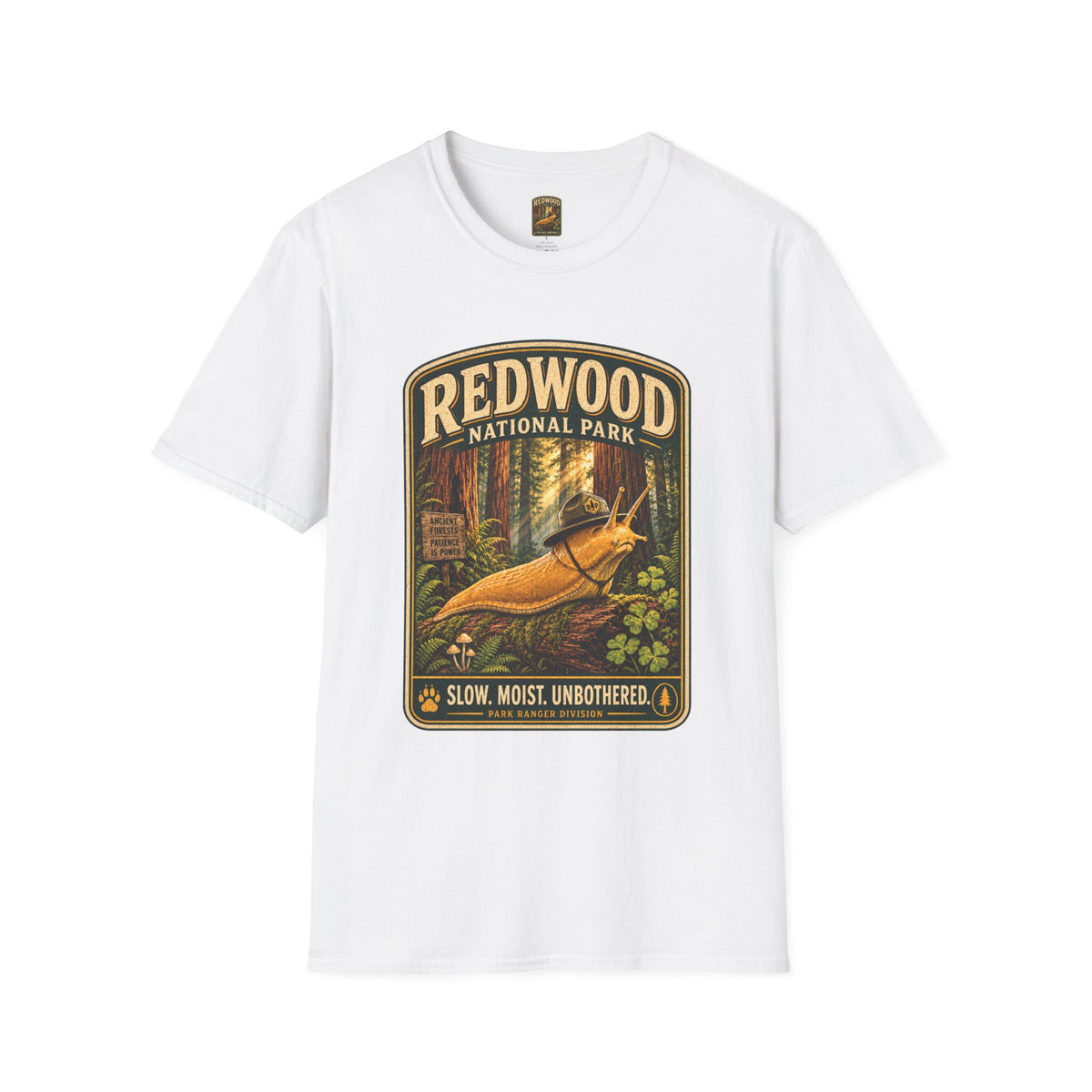 Redwood National Park