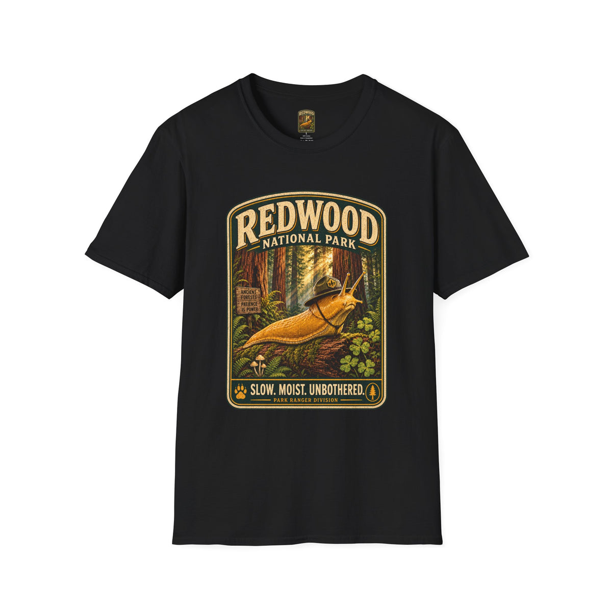 Redwood National Park